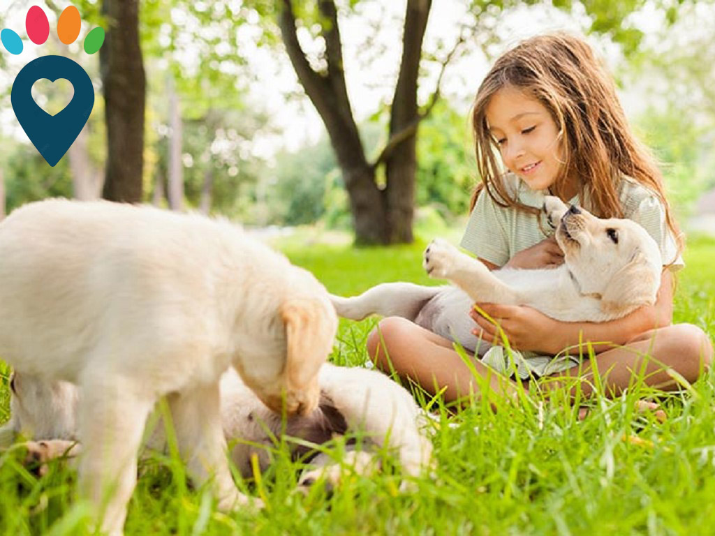 Dog dental care illustration