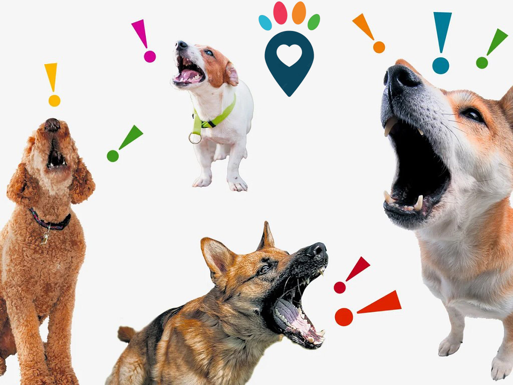 Dog dental care illustration