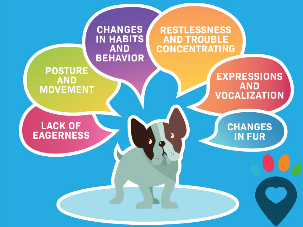 Dog dental care illustration