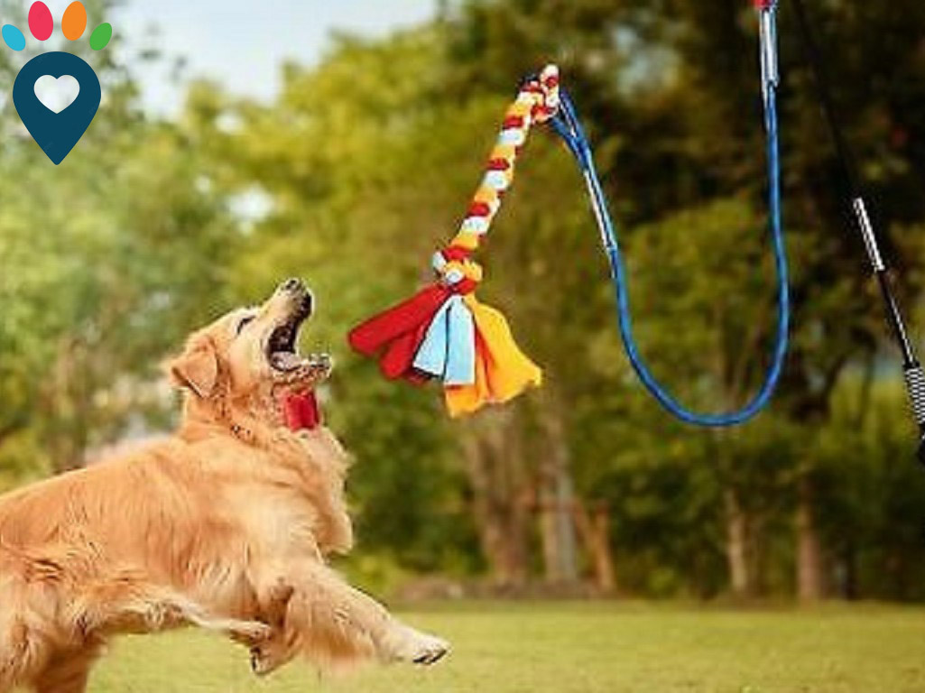 Dog dental care illustration