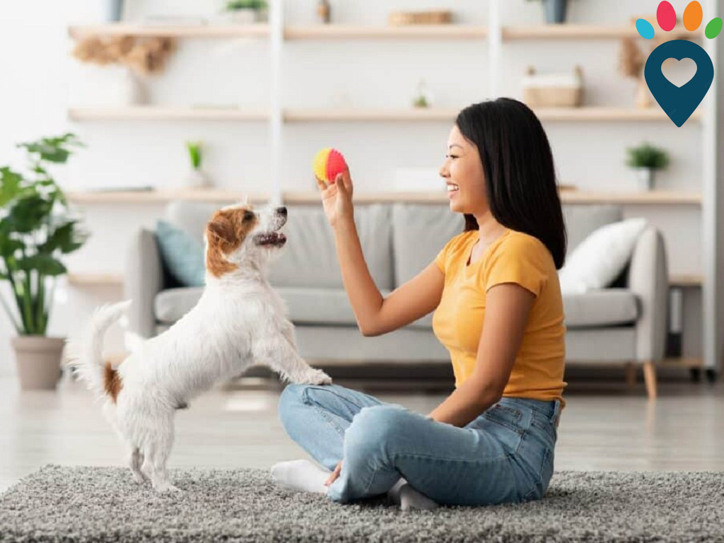 Dog dental care illustration