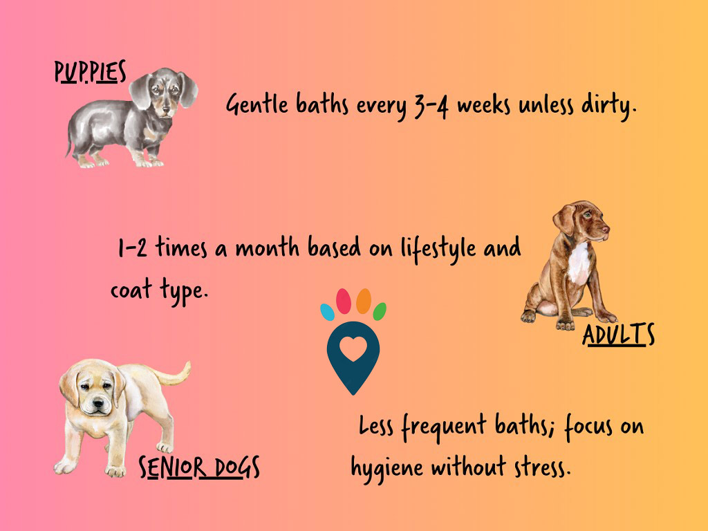 Dog dental care illustration