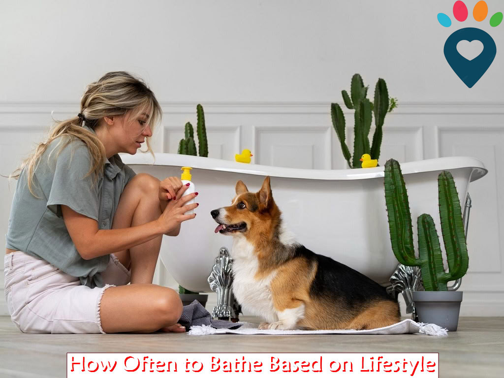 Dog dental care illustration